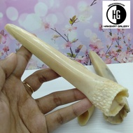 pipa rokok once taring iga duyung D699