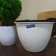 Wasp Pot 18 Cm/ Honey Pot 20 White/ Wasp Pot 20/ Goccie Pot 20/ Hpp Pot 20/ Tulip Pot 17 Viral