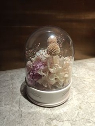保鮮花小夜燈音樂盒