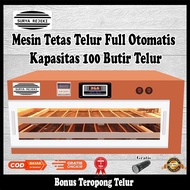 mesin tetas telur full otomatis mesin penetas telur otomatis kapasitas