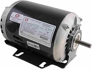 Rheem 8100 1/3 hp Blower Motor