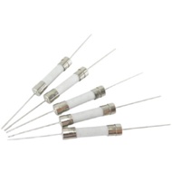 （5 pcs）Ceramic Fuse Fuse with Pin 6 * 30mm F Quick Break F10A/12A/15A/20A/25A/30A 250V