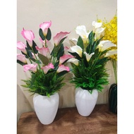 Gubahan Bunga Calla Lily 80cm