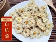 【沖泡茶包本舖】嚴選 生機菊花 (白菊花、白杭菊) 檢驗合格 100%純天然無其他添加物!! 菊花茶 菊花 花茶