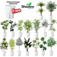 SG_SHADOW | Artificial Plant Fake Plants with Pot Large Faux Plant for Home Office Decor Fake Tree T