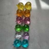豬鼻雞 膠水晶