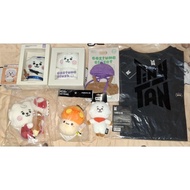 Official BT21 Costume Plush Doll RJ Tshirt TinyTan (READ DESCRIPTION)