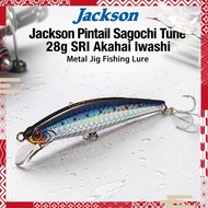 Jackson Pintail Sagochi Tune 28g SRI Akahai Iwashi Metal Jig Fishing Lure