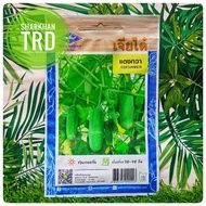 Paket 55 Biji (Seeds) BABY CUCUMBER Chia Tai Home Garden Biji Benih Timun Batang Baby Premium Thaila