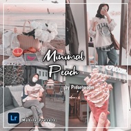 Lightroom Mobile Presets DNG File | Minimal Peach