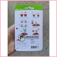 ✎ ✸ EAST-WEST SEEDS - AMPALAYA SEEDS - BONITO F1 HYBRID 10 Seeds