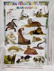 Poster Karnivora Hewan Pemakan Daging & Poster Lainnya per 5lembar READY STOCK