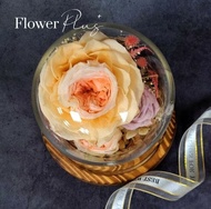【Flower Plus】 玫瑰花園｜永生花玻璃罩