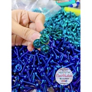 GR5 Spiral Screw