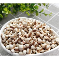 Chinese Barley Barley Barley