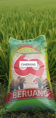 Benih padi Ciherang Ss Cap beruang