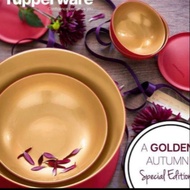 Tupperware Allegra Serving Gold
