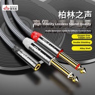 RIKSOIN | 2-in-1 6.5mm to 3.5mm Audio Cable Dual Head 6.35mm