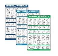 QUICKFIT 3 Pack - Dumbbell Workouts + Bodyweight Exercises + Barbell Routine Poster Set - Set of 3 W