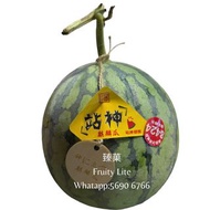 站神8424麒麟超重大西瓜🍉