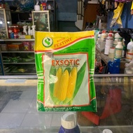 Exotic - Benih Jagung Manis / Bibit Jagung Manis / Benih Jagung Manis Pertiwi Exotic Kemasan Pabrik