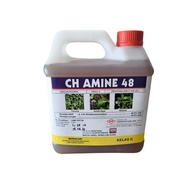 Ch Amine 48 Racun Keladi Agas Padi Parit 4 liter