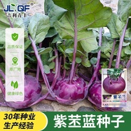 [Imported Vegetables] Purple Vegetables Seeds Fruit Vegetables Vegetable Seeds Vegetable Seeds Four 