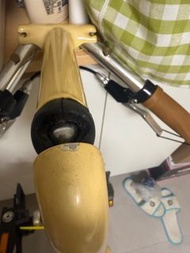 STRIDA