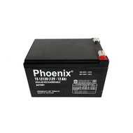 Bình Ắc Quy Khô PHOENIX TS12120 12V-12AH Dùng Cho UPS Loa Kéo Bình Phun Thuốc Sâu Cửa Cuốn