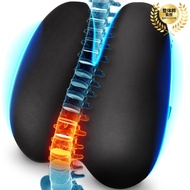 Lumber support seat cushion