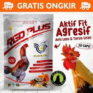 Red Plus Rubby Pakhoy Jamu Herbal Vitamin Ayam Jantan Bangkok Jago