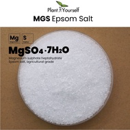 [500g] MgS Magnesium sulphate MgO16% | Epsom salt