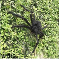 Halloween Spider Giant Feather Wall Decor 125cm Halloween Doll Big Spider Plush Spider Toy