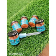 Daphnia Magna (Kutu Air) 45ml (direct feed)