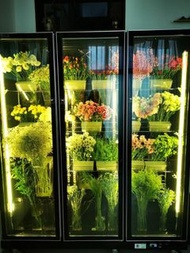 🌸鮮花櫃 冷藏展示櫃 單門雙門風冷無霜雪櫃 除霧 蛋糕飲品展示櫃雪櫃Refrigerator