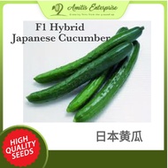 10 seeds of Japanese Cucumber Timun Jepun 日本黄瓜 Imported from Japan