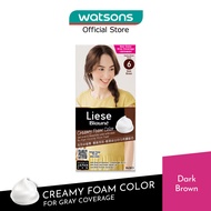 LIESE Blaune Creamy Foam Hair Color (Dark Brown) 108ml