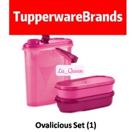 Tupperware Ovalicious Set Beverage Buddy 1.9L Ezy Oval Keeper 450ml drinking bottle with handle food container airtight