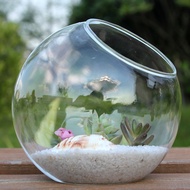 Aquarium Fish Tank Small Micro Landscape Turtle Fish Box Succulent Glass Vase