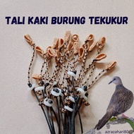 Tali Kaki Burung Tekukur Burung Ruak Ruak Wak Wak