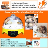 ส่งด่วน 7 ฟอง คู่มือภาษาไทย ของแถมครบ ศูนย์ซ่อมบริการ ตู้ฝักไข่ไก่ ตู้ฟักไข่ไก่ เครื่องฟักไข่อัตโนมัติ ไข่ไก่ เป็ด นก ตู้ฟักไข่ถูกๆ