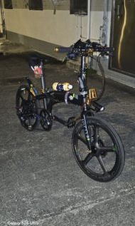 Tern P10摺疊單車