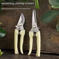Pruning Shears Branch Shears Gardening Shears Pruning Shears Flower Shears Garden Shears Flower Art 