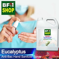 Anti Bacterial Hand Sanitizer Spray with 75% Alcohol - Eucalyptus Anti Bacterial Hand Sanitizer Spray - 5L
