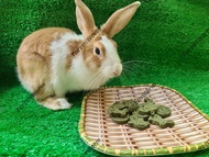 อาหารกระต่าย หญ้ากระต่าย คุ๊กกี้หญ้ากระต่าย คุ๊กกี้กระต่าย ( แบบซอง ) แกสบี้  ชินชิล่า  และสัตว์ฟันแทะทุกชนิด