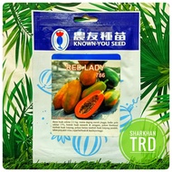 Paket 50 Biji (Seeds) RED LADY 786 Known You Seed Biji Benih Betik Rendah F1 Hybrid Dwarf Papaya See