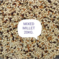 (1Gunny) Mix Millet Bird Feed Food 20kg Makanan Burung Sekoi Campur