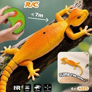 Wall Climbing Remote Control Gecko Toy Rechargeable Remote Control Gecko Toy with LED Eyes Dual Mode
