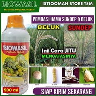 TERLARIS Pupuk BIOWASIL MEMBASMI SUNDEP DAN BELUK PADI Pestisida Hayati Mengatasi Hama Sundep Padi P