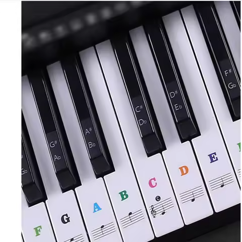 Colorful Transparent Piano Keyboard Stickers 88 Key Detachable Decal Notes Electronic Piano Piano Sp